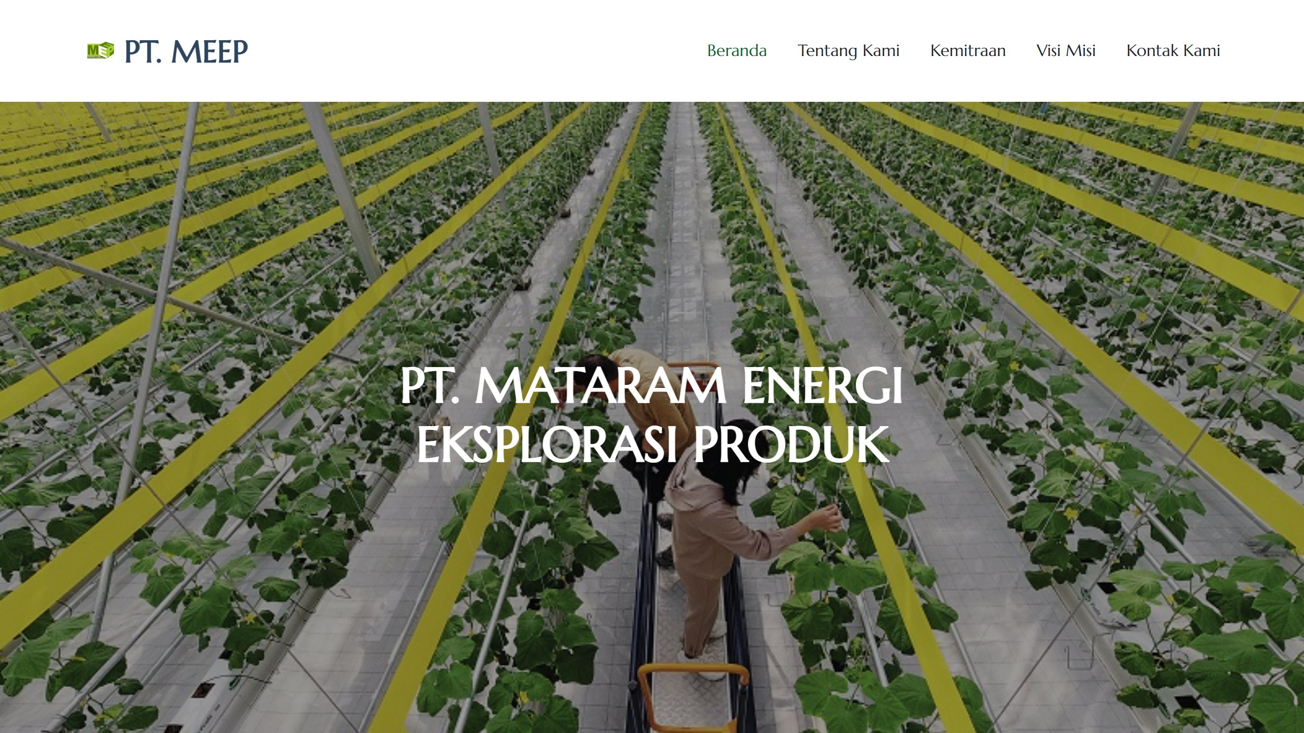 PT MEEP Company Profile